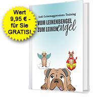 Das Anti-Leinenagressions-Training