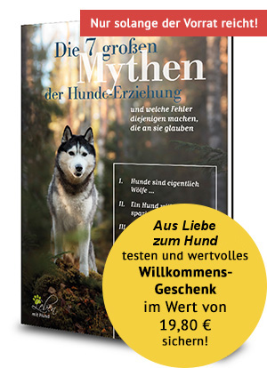 Die 7 großen Mythen der Hunde-Erziehung