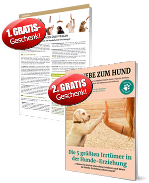 Ihre Gratis-Geschenke