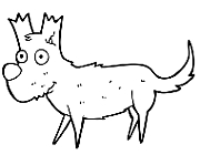 kleiner Hund