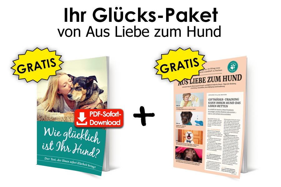 Ihr Glücks-Paket von Aus Liebe zum Hund
