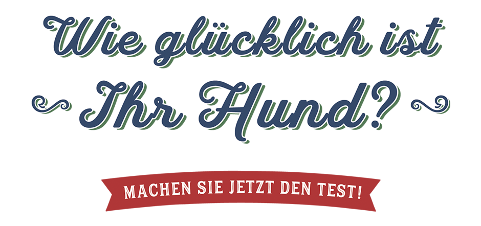 Wie glücklich ist Ihr Hund? - Machen Sie jetzt den Test!