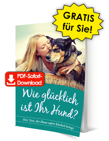 Wie glücklich ist Ihr Hund? - GRATIS für Sie! - PDF-Sofort-Download