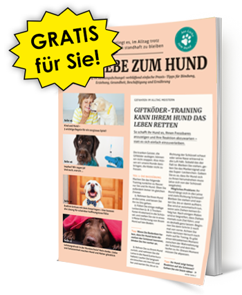Aktuelle Ausgabe von Aus Liebe zum Hund  - GRATIS für Sie!