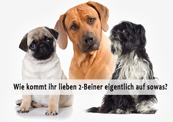 Aus Liebe zum Hund